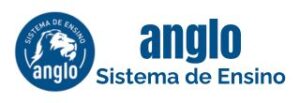 Parceiro-Anglo-V2-300x103