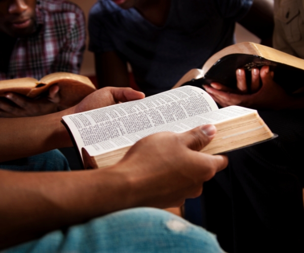 (Com) Partilhando Experiências